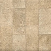 Линолеум Profi Strong Plus VARDO 2