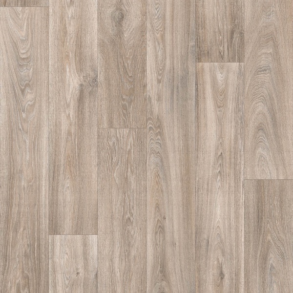 Линолеум Profi Master HAVANNA OAK 1