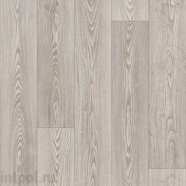 Линолеум Profi Master GLOSTER 4