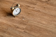 SPC Плитка Alpine floor Grand Sequoia Light ECO 11-701-R