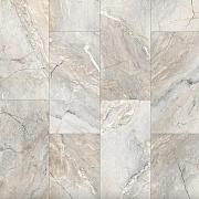 Линолеум Profi Strong Plus ARONA 2